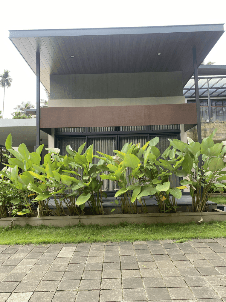 Silin Thamarassery gallery 12