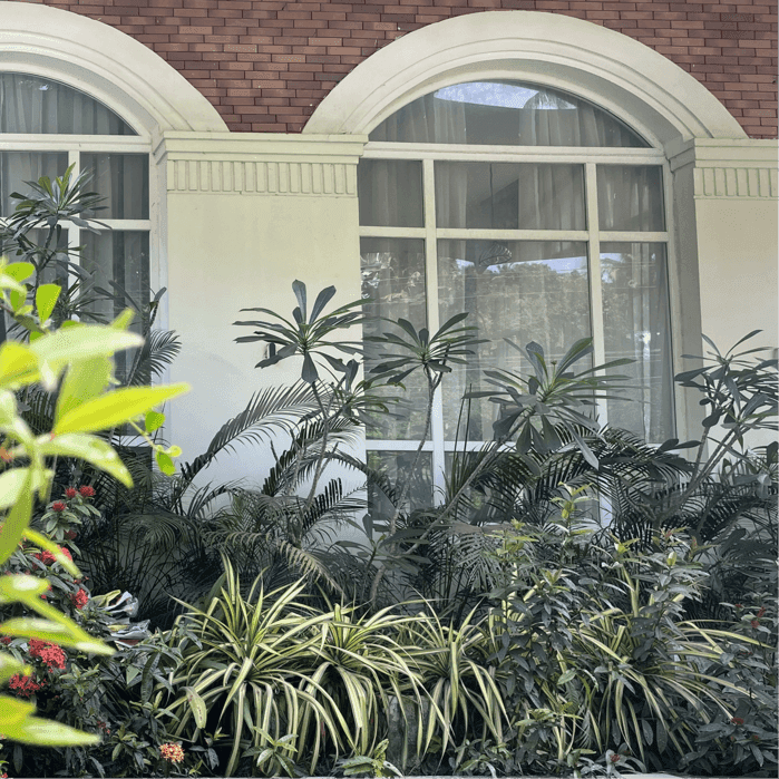 Unani gallery 5